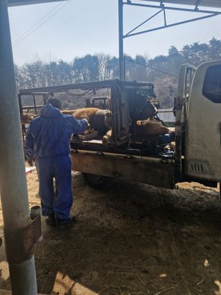 백운농원 님의 기타작물 · 영농일지 작성글 사진