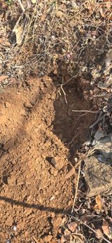 팜모닝 기타작물·영농일지 게시글 이미지