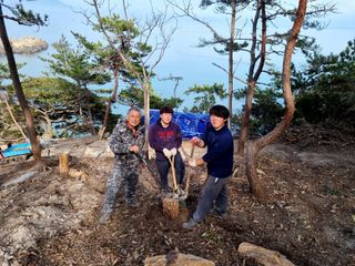 최강K님의 기타작물 · 영농일지 작성글 사진
