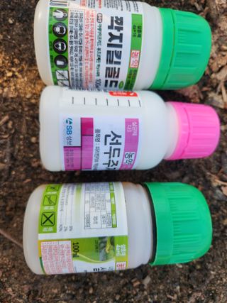 잘살아보세님의 포도 · 영농일지 작성글 사진