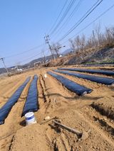 팜모닝 기타작물·영농일지 게시글 이미지