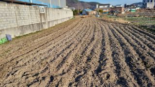 김동명님의 기타작물 · 영농일지 작성글 사진