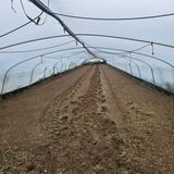 팜모닝 고추·영농일지 게시글 이미지