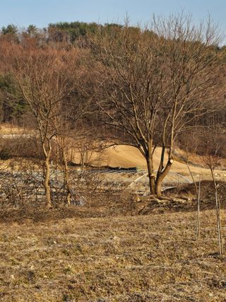 조정훈님의 기타작물 · 영농일지 작성글 사진