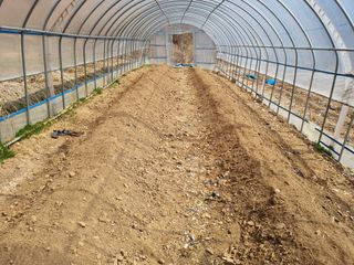 심기섭님의 기타작물 · 영농일지 작성글 사진