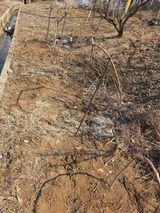 김연숙님의 작성글 사진