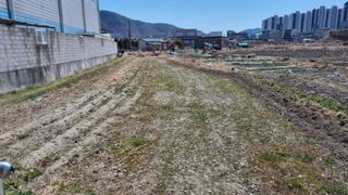 김동명님의 기타작물 · 영농일지 작성글 사진