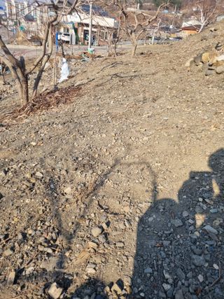 김용대님의 기타작물 · 영농일지 작성글 사진