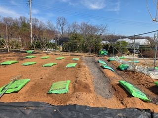 홍승대님의 기타작물 · 영농일지 작성글 사진