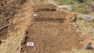 윤두현님의 상추 · 영농일지 작성글 사진