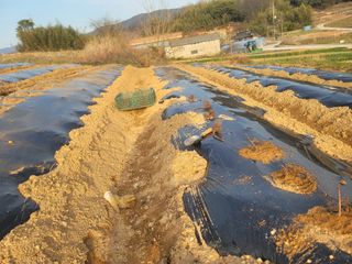 이용찬 열매마농원님의 기타작물 · 영농일지 작성글 사진