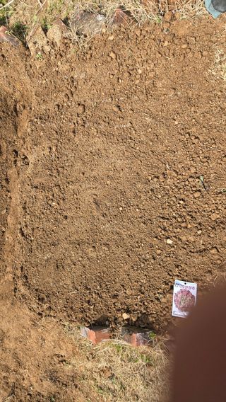 윤두현님의 상추 · 영농일지 작성글 사진