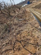 김연숙님의 작성글 사진