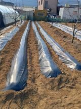 구강회님의 작성글 사진