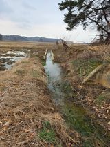 팜모닝 벼·영농일지 게시글 이미지