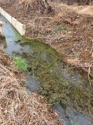 아하론님의 벼 · 영농일지 작성글 사진