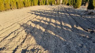 김동명님의 기타작물 · 영농일지 작성글 사진