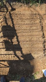 윤두현님의 작성글 사진