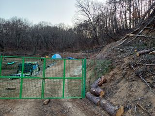 최정윤님의 기타작물 · 영농일지 작성글 사진