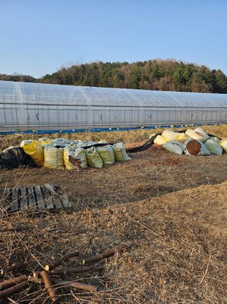 조정훈님의 기타작물 · 영농일지 작성글 사진