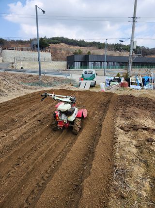 정미옥님의 기타작물 · 영농일지 작성글 사진