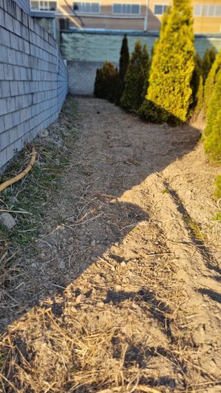 김동명님의 기타작물 · 영농일지 작성글 사진