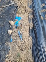 최기동님의 작성글 사진