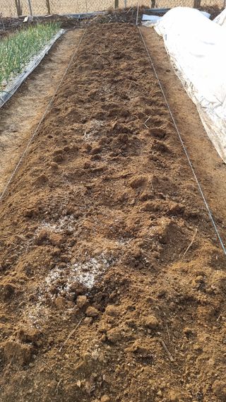 김지철님의 기타작물 · 영농일지 작성글 사진