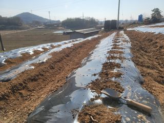 이용찬 열매마농원님의 기타작물 · 영농일지 작성글 사진