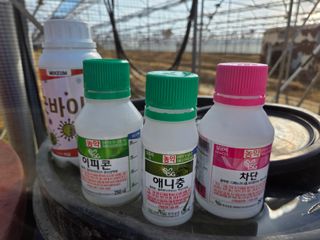 고추15651님의 복숭아 · 영농일지 작성글 사진