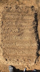 팜모닝 상추·영농일지 게시글 이미지