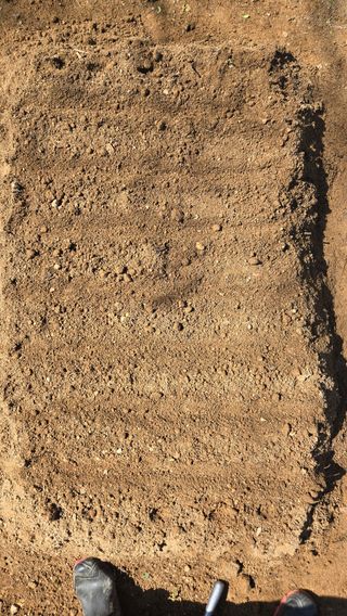 윤두현님의 작성글 사진