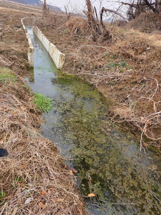 아하론님의 벼 · 영농일지 작성글 사진