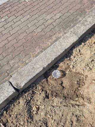 김용대님의 기타작물 · 영농일지 작성글 사진