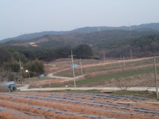 이용찬 열매마농원님의 기타작물 · 영농일지 작성글 사진