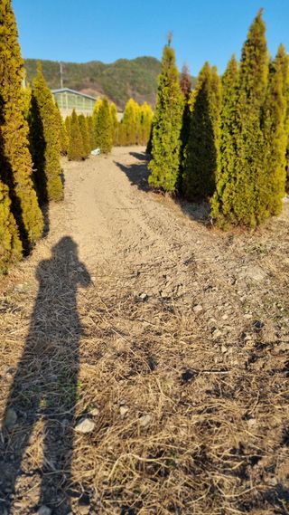 김동명님의 기타작물 · 영농일지 작성글 사진
