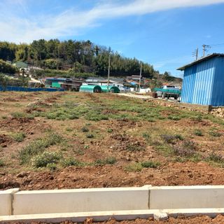 김건우님의 기타작물 · 영농일지 작성글 사진