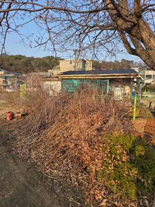 최동수님의 기타작물 · 영농일지 작성글 사진