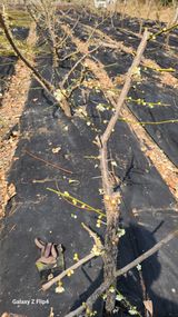 정헌경님의 작성글 사진