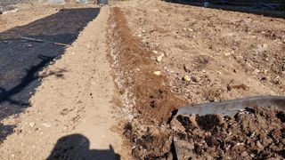 유병욱님의 감자 · 영농일지 작성글 사진