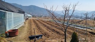 정민지호맘님의 기타작물 · 영농일지 작성글 사진