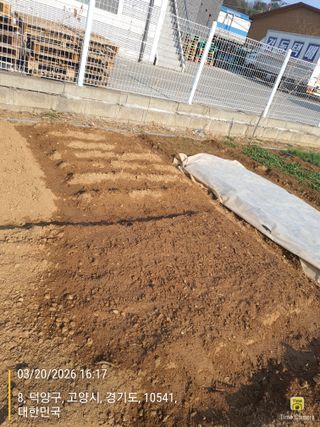 정병학님의 감자 · 영농일지 작성글 사진