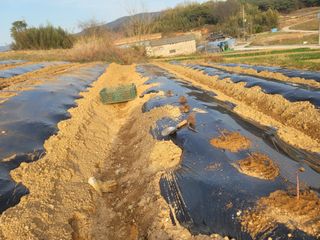 이용찬 열매마농원님의 기타작물 · 영농일지 작성글 사진
