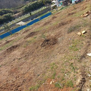 김건우님의 기타작물 · 영농일지 작성글 사진