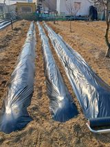 구강회님의 작성글 사진