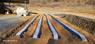 장용선 사진작가농부님의 기타작물 · 영농일지 작성글 사진