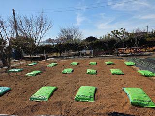 홍승대님의 기타작물 · 영농일지 작성글 사진