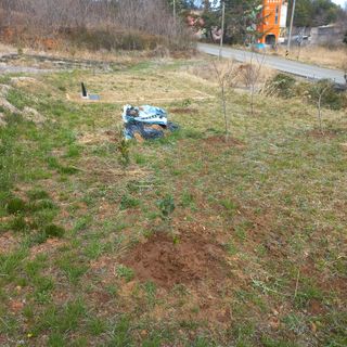 김건우님의 기타작물 · 영농일지 작성글 사진