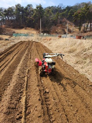 정미옥님의 기타작물 · 영농일지 작성글 사진