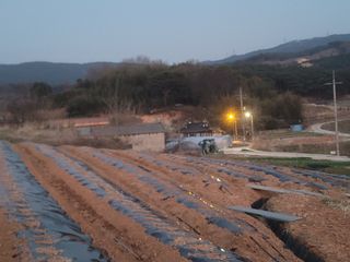 이용찬 열매마농원님의 기타작물 · 영농일지 작성글 사진